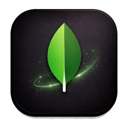 MongoDB database Database