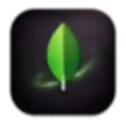 MongoDB Datenbank Datenbank